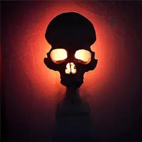 FBA3-SKULL CHEFENSTY Human Light Night Halloween #3